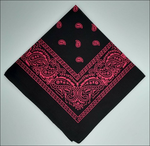 Modelle bandana paisley - 70,